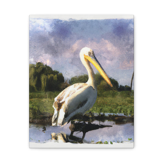 Marshy Pelican Dream - Canvas