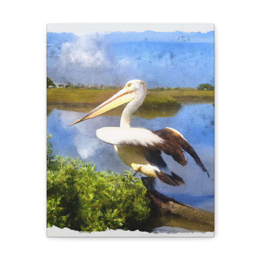 Mystic Marsh Pelican - Canvas