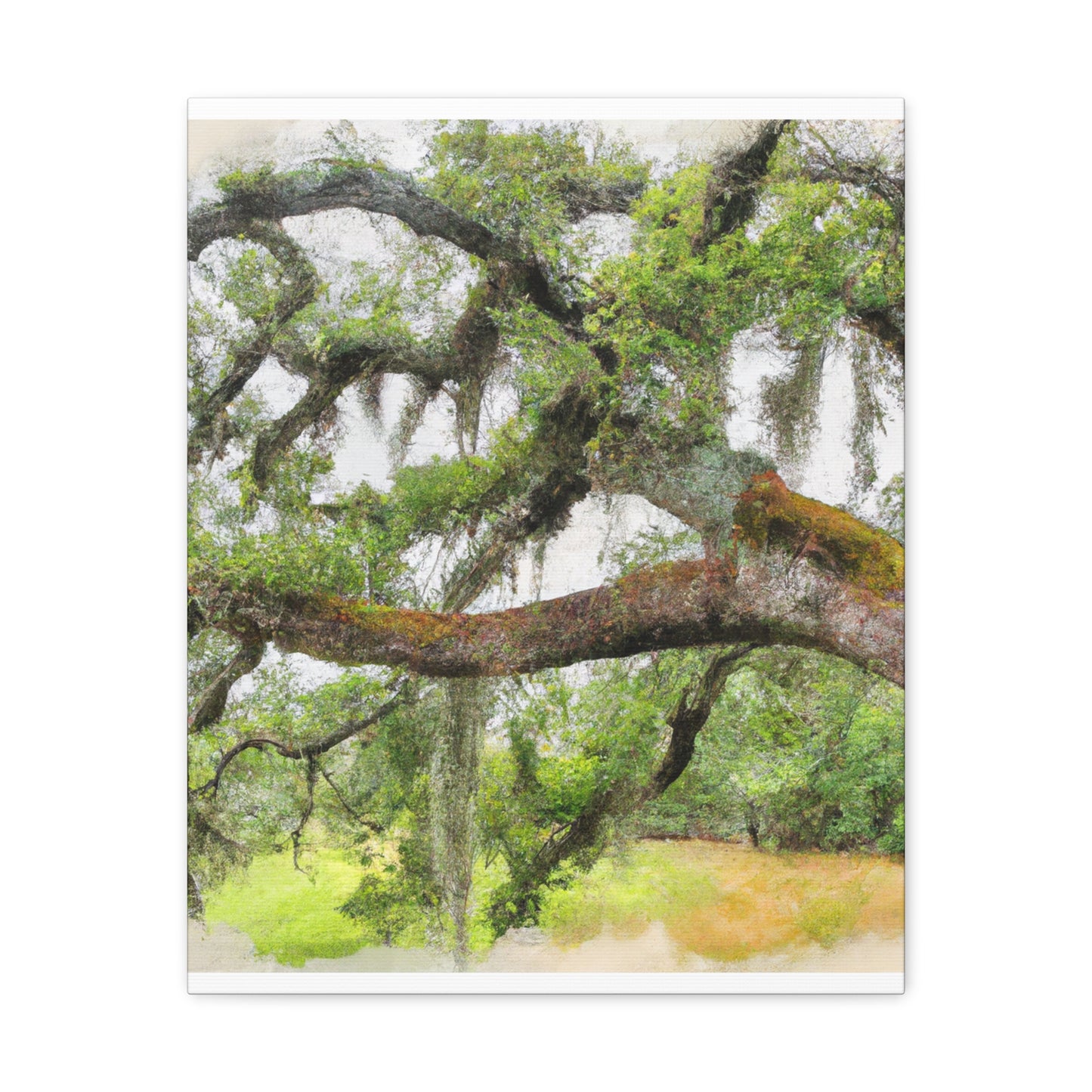 Faded Grandeur Oak. - Canvas