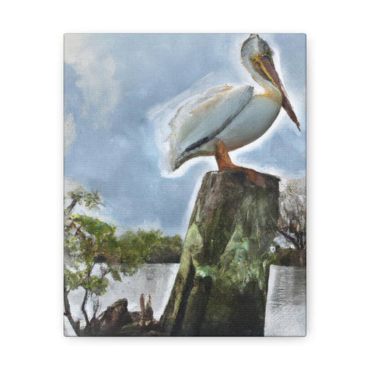 Aquatic Pelican Sunset - Canvas