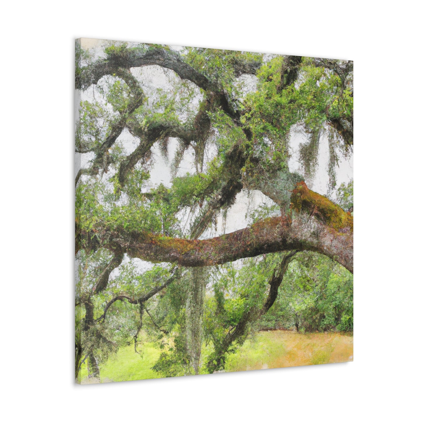 Faded Grandeur Oak. - Canvas