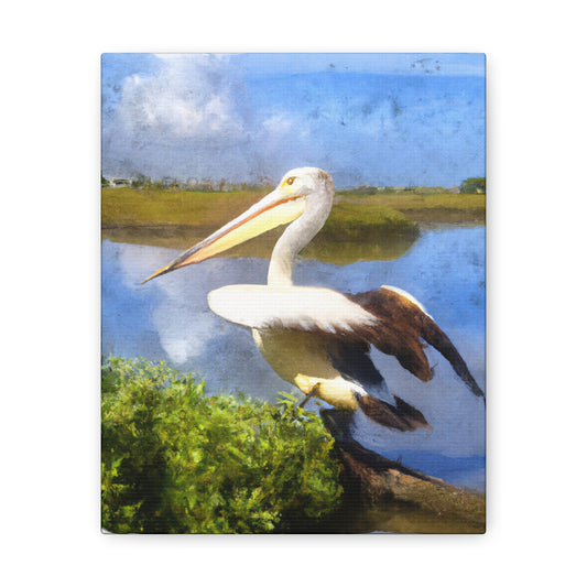 Mystic Marsh Pelican - Canvas