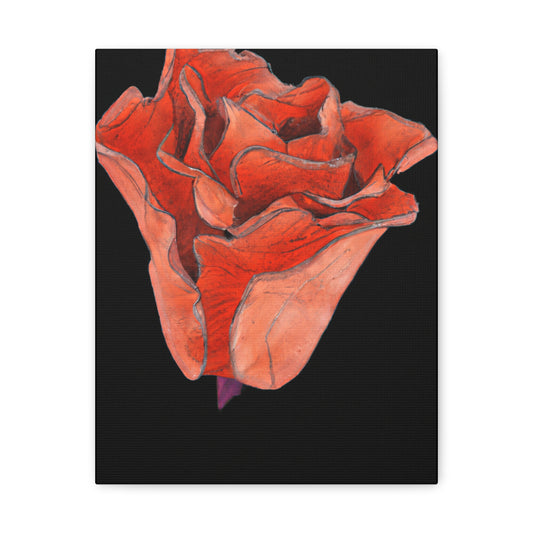 Abstract Blush Bloom - Canvas