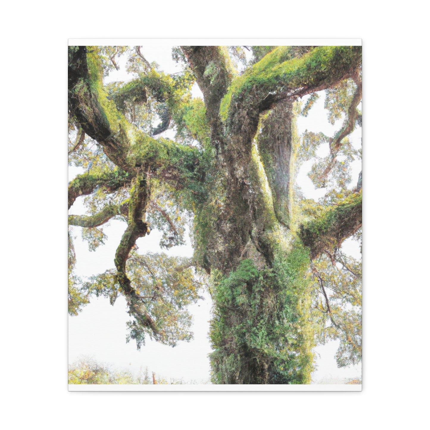 Mossy Oak Wonder. - Canvas
