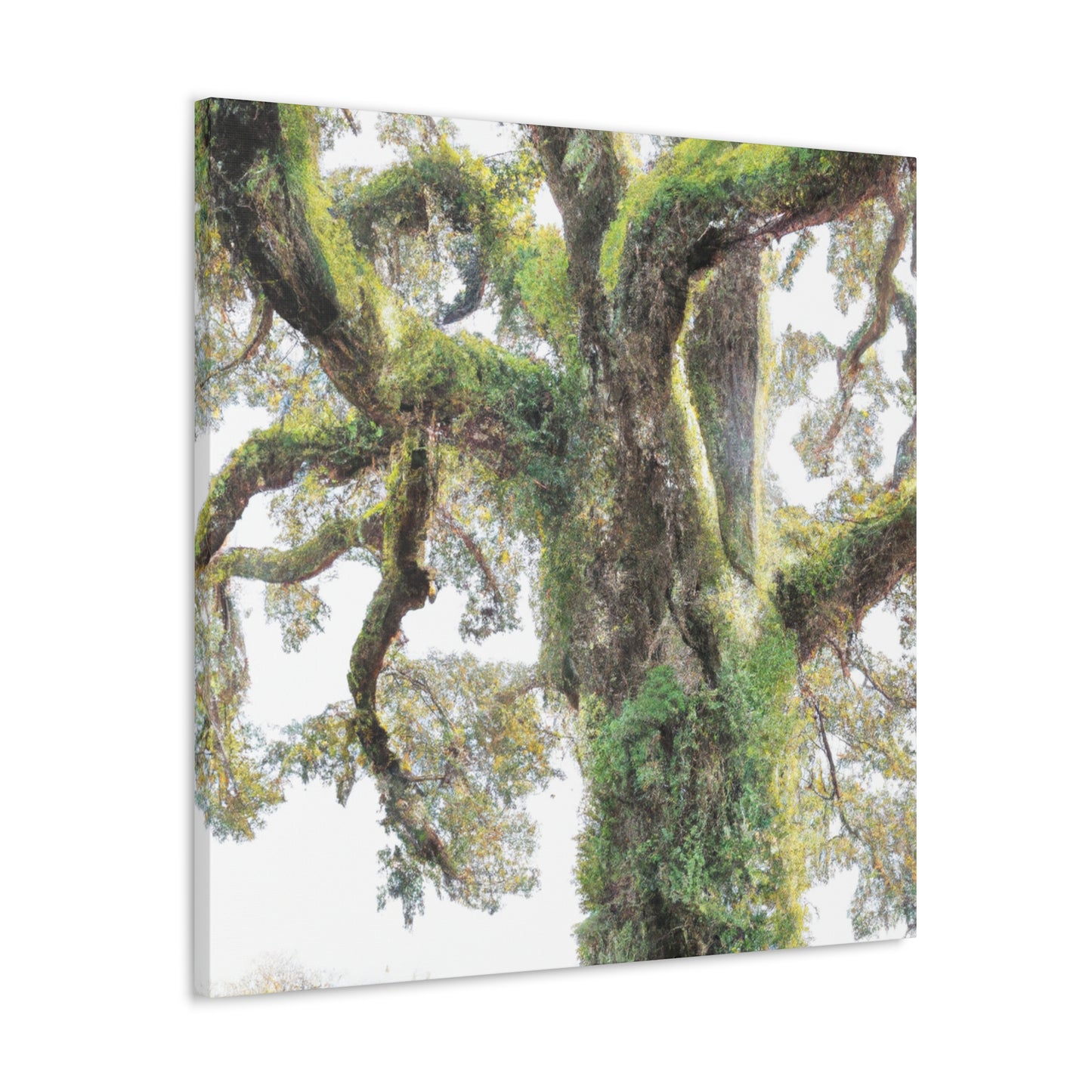 Mossy Oak Wonder. - Canvas