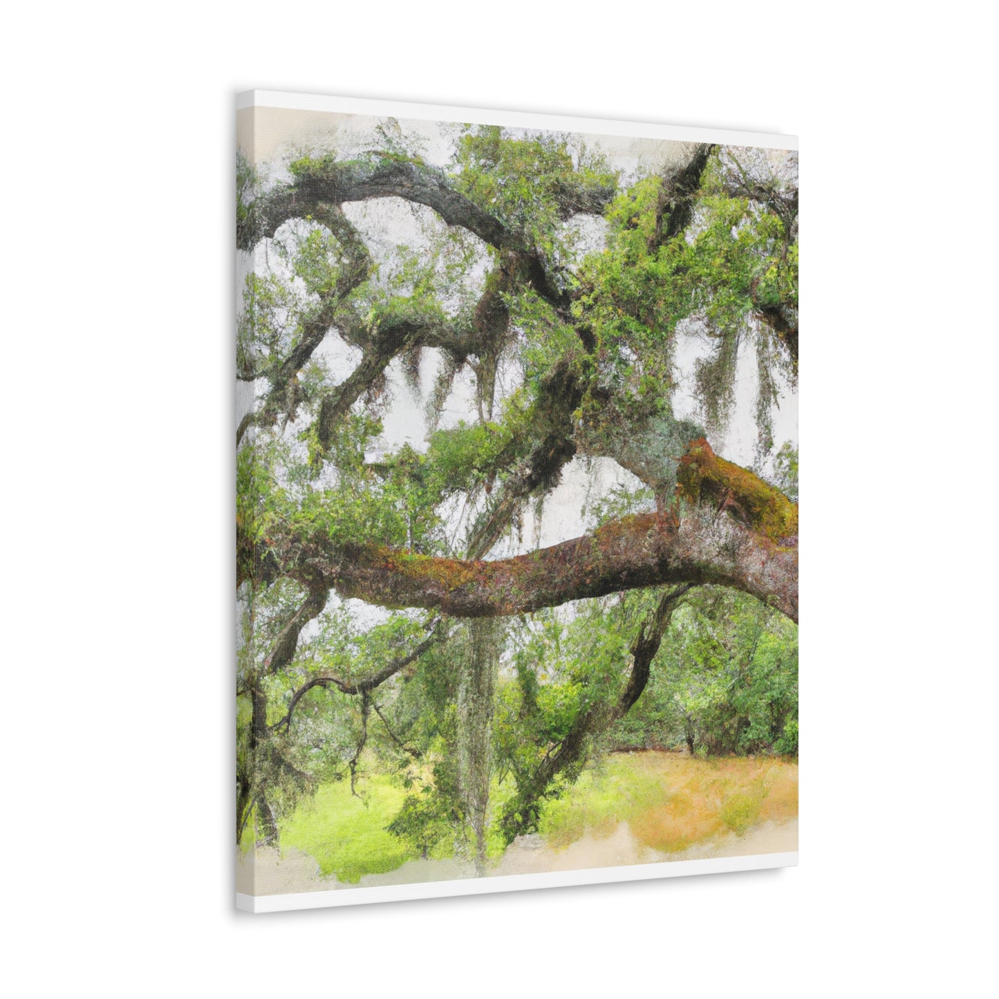 Faded Grandeur Oak. - Canvas