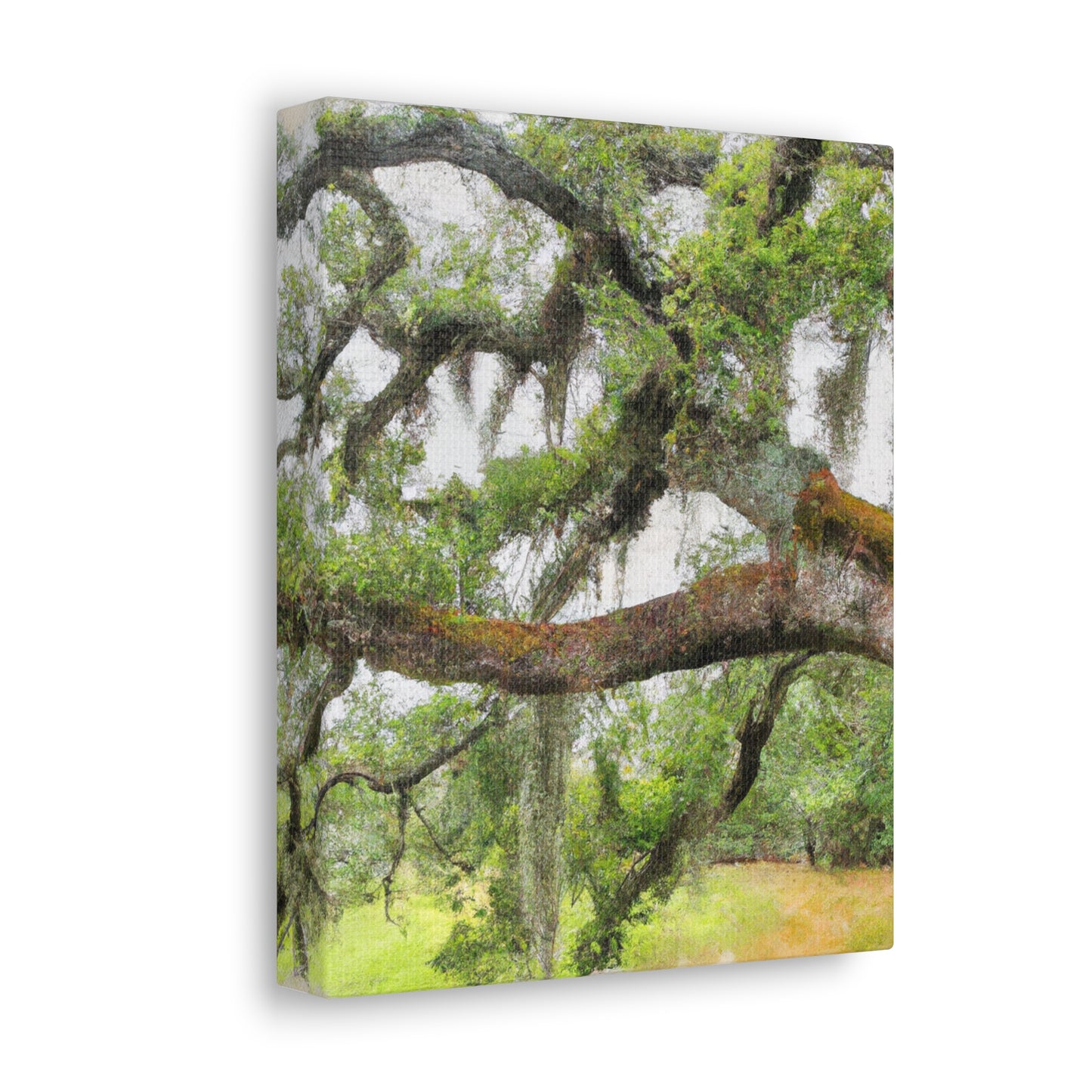 Faded Grandeur Oak. - Canvas