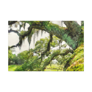 Windy Moss Lullaby - Canvas