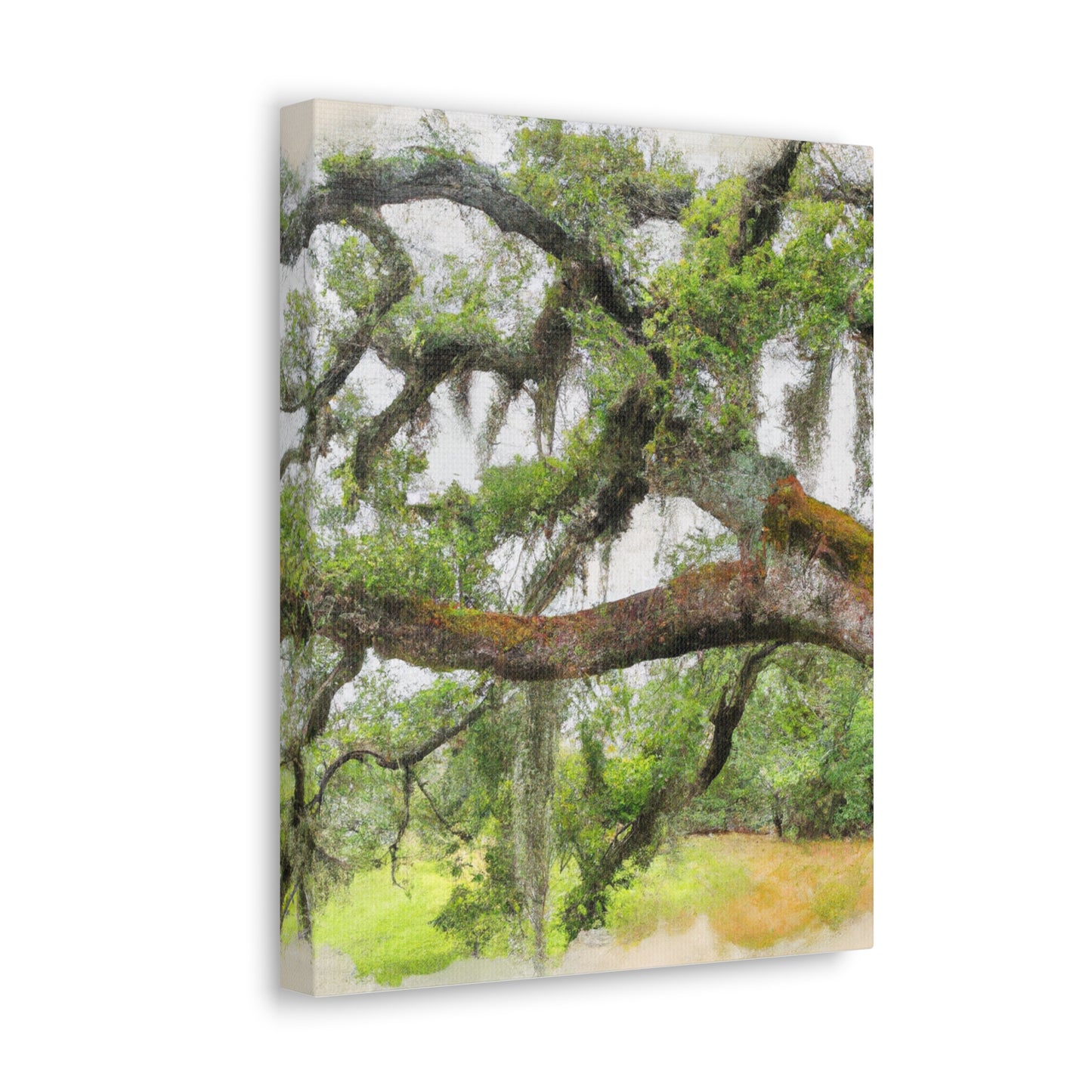 Faded Grandeur Oak. - Canvas