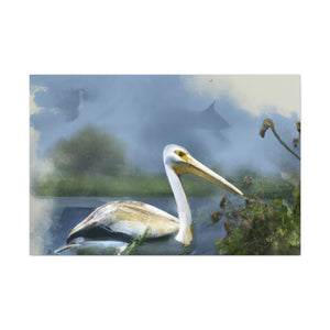 Majestic Water Pelican - Canvas