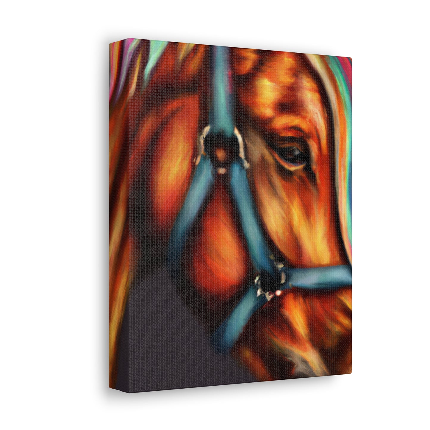Rainbow Equine. - Canvas