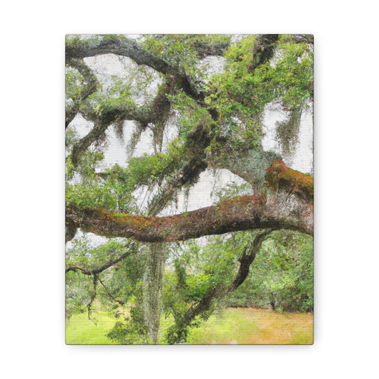 Faded Grandeur Oak. - Canvas