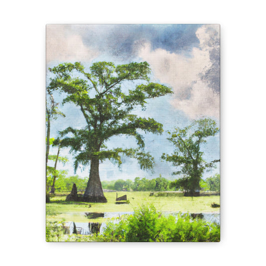 Lagniappe Louisiana Landscape - Canvas