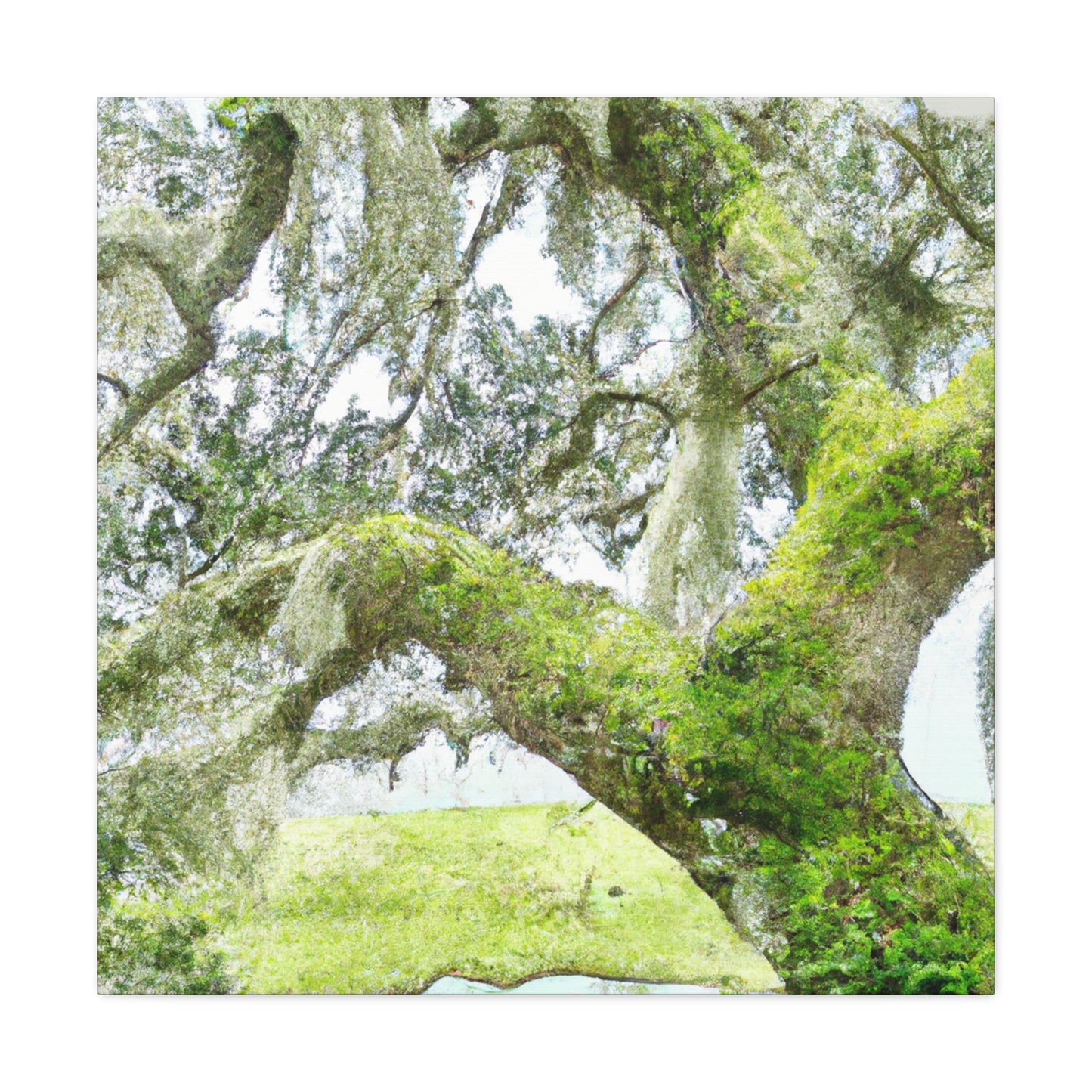 Mossy Oak Dreaming - Canvas