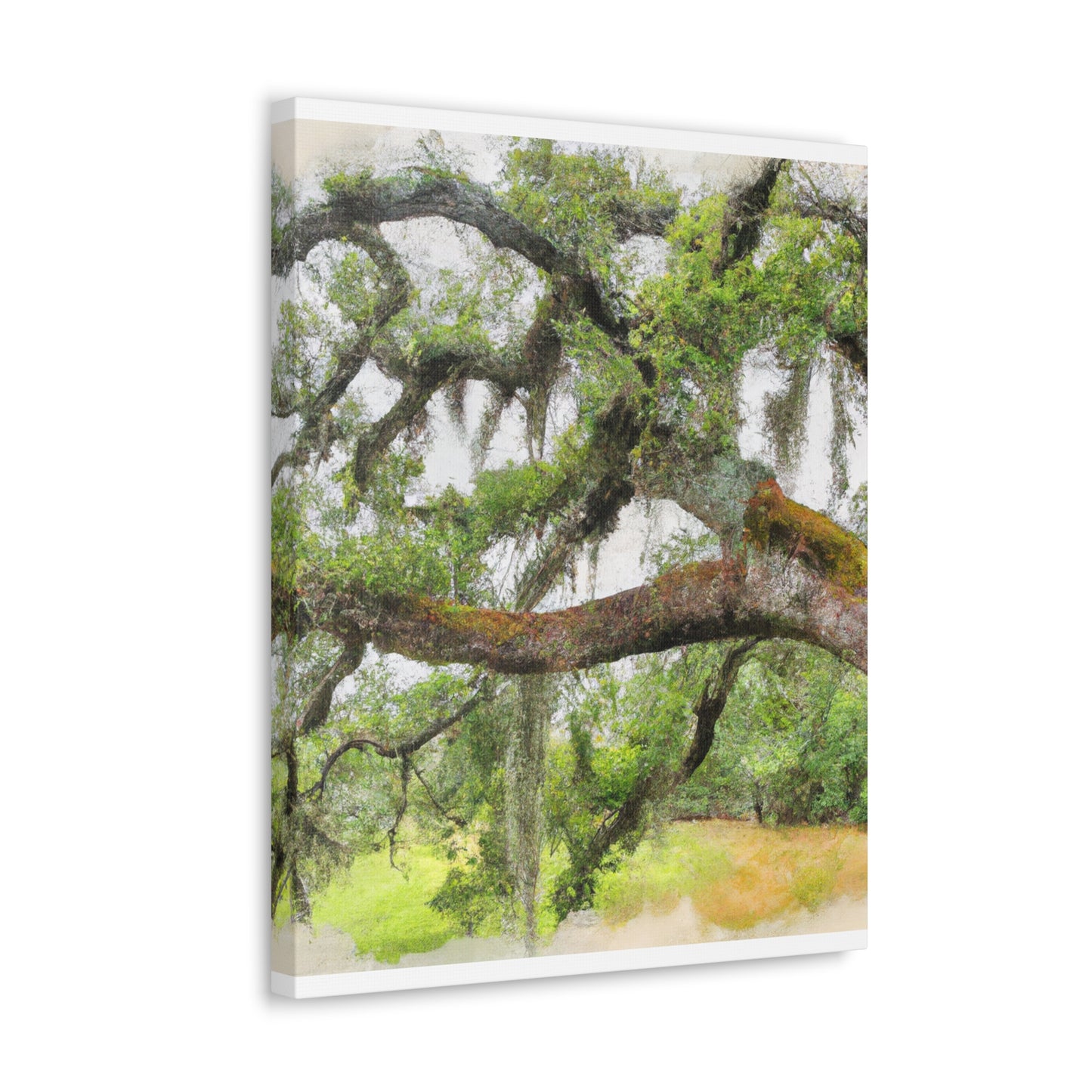 Faded Grandeur Oak. - Canvas