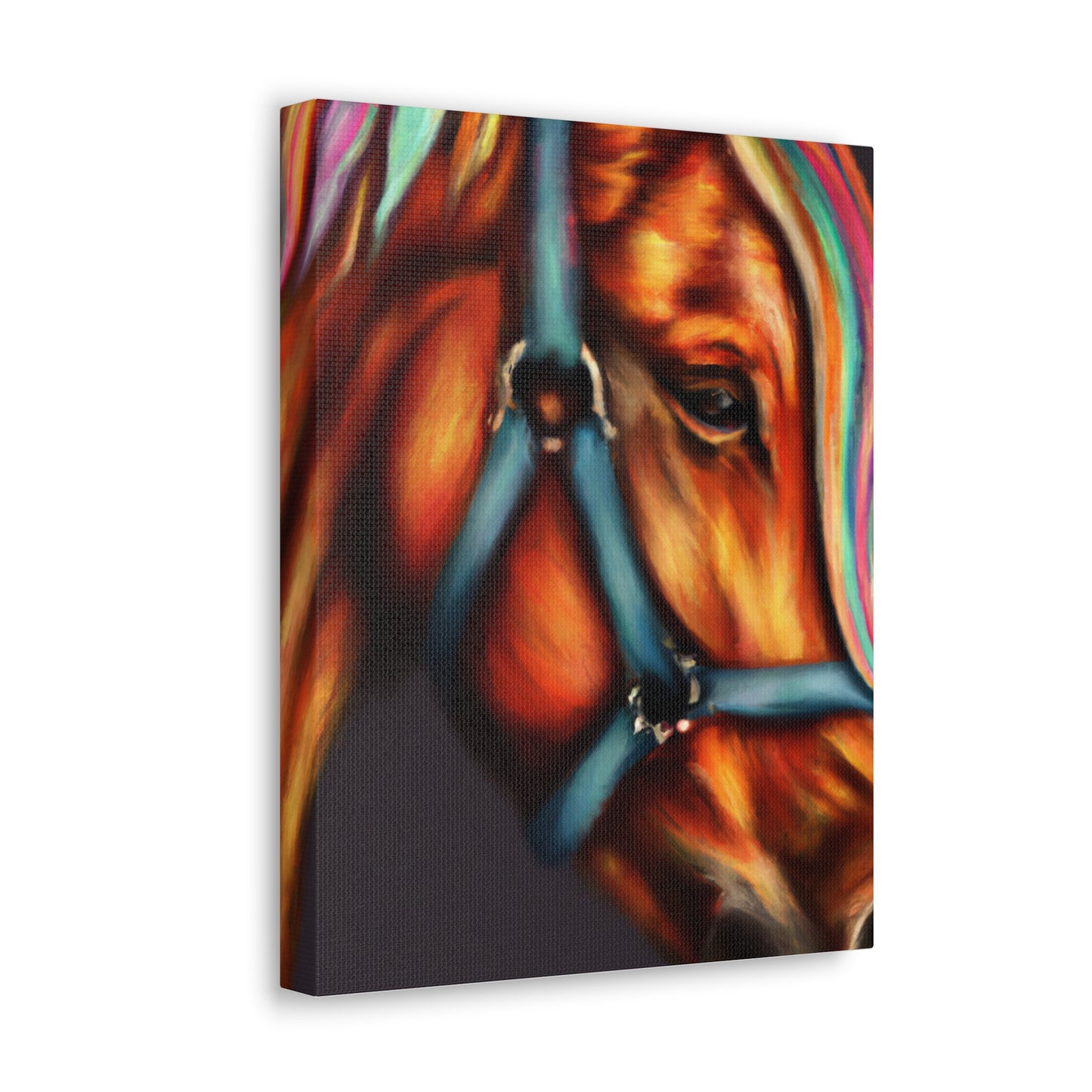 Rainbow Equine. - Canvas