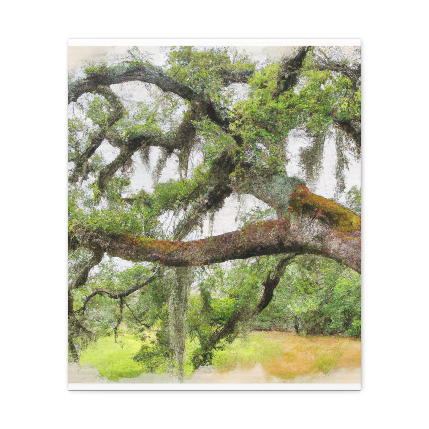Faded Grandeur Oak. - Canvas