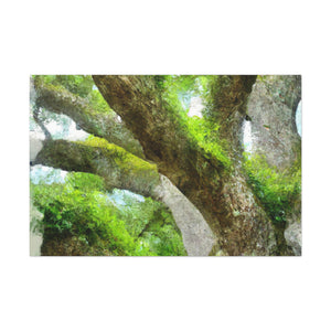 Vibrant Forest Dream. - Canvas