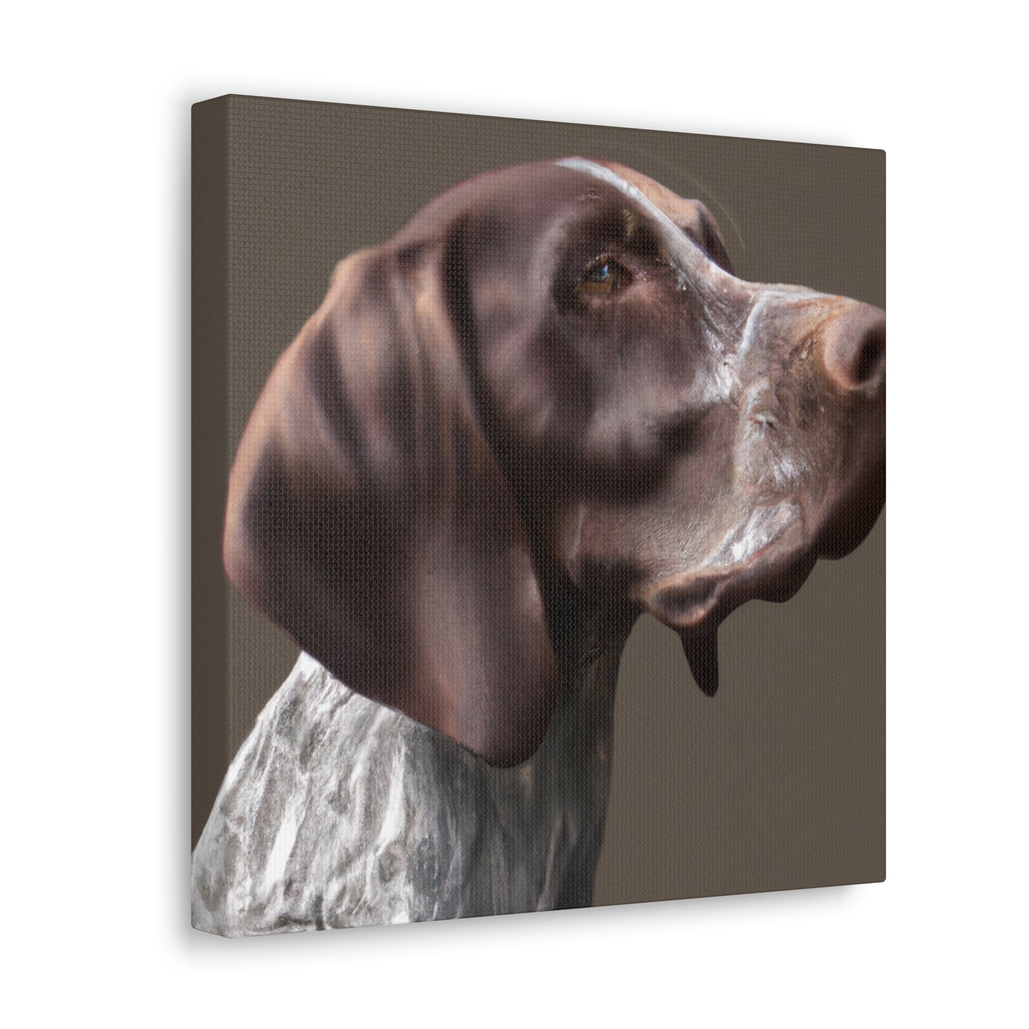 Pointer Perfection. - Canvas
