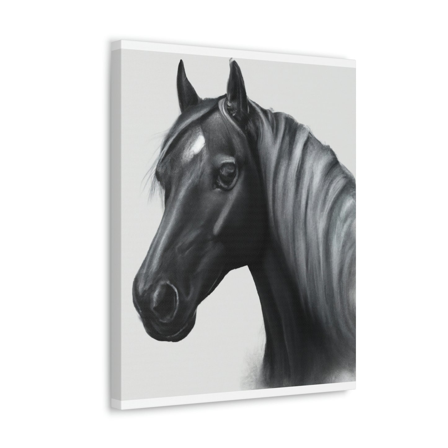 Marcia Masterson - Canvas