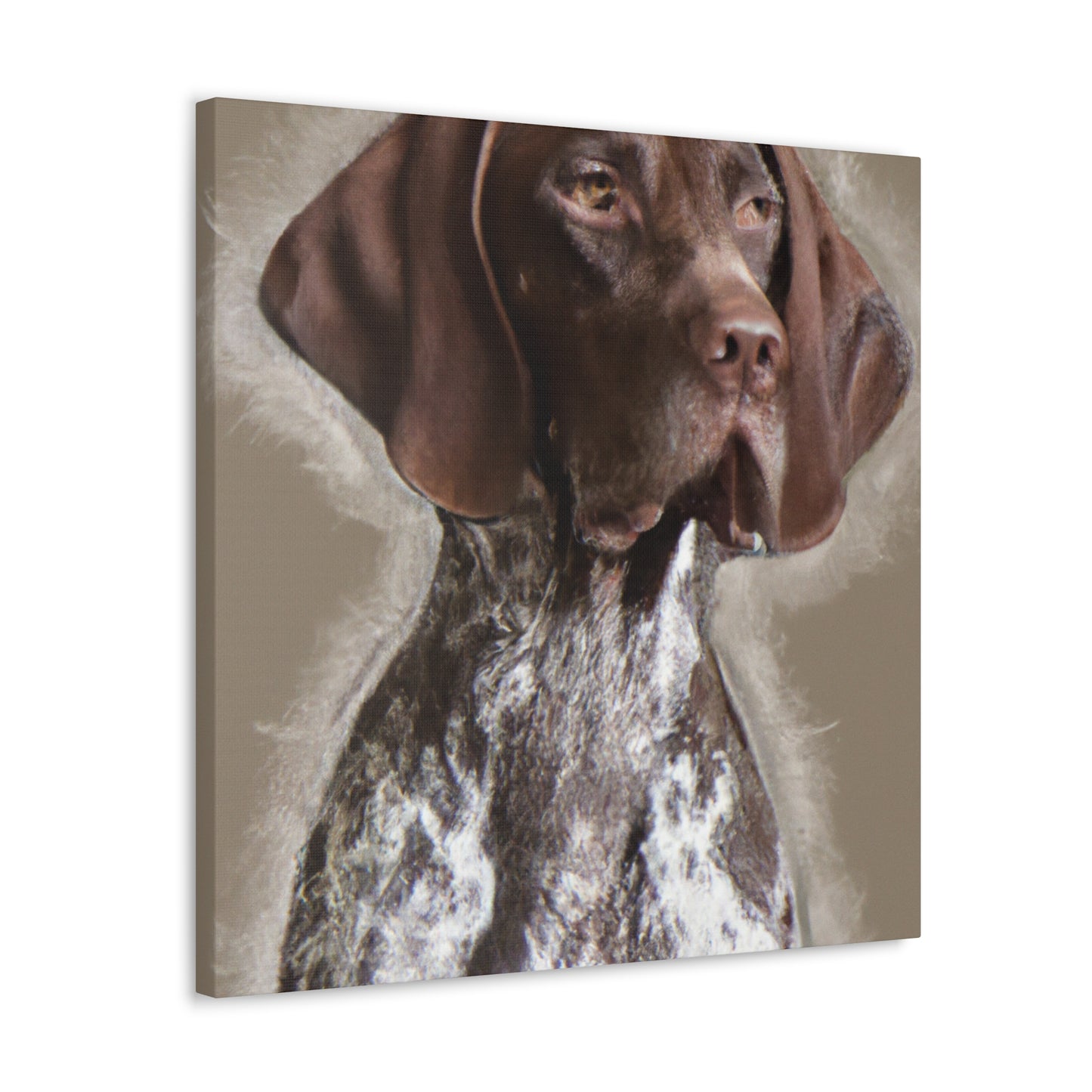 Pointer Posh. - Canvas