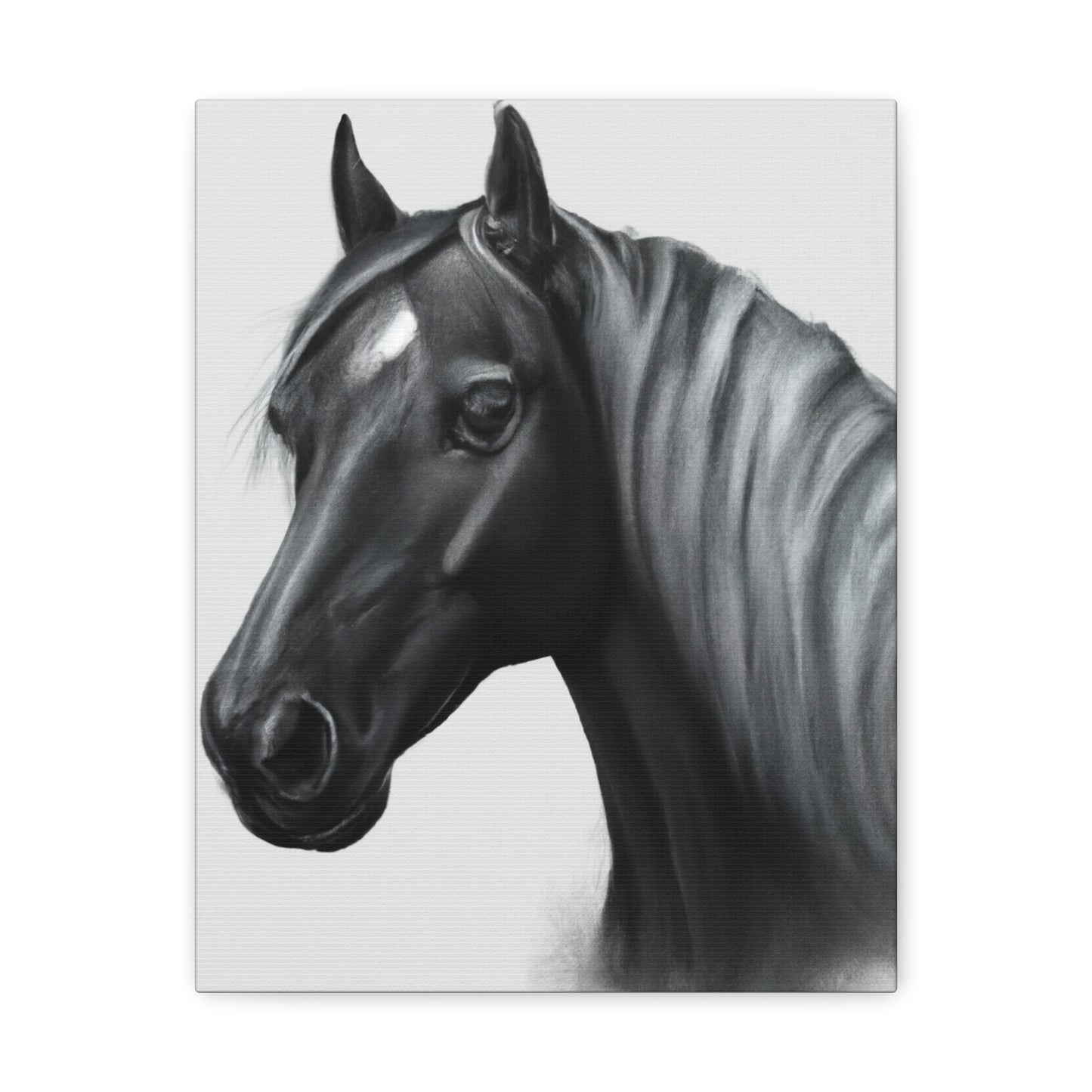 Marcia Masterson - Canvas