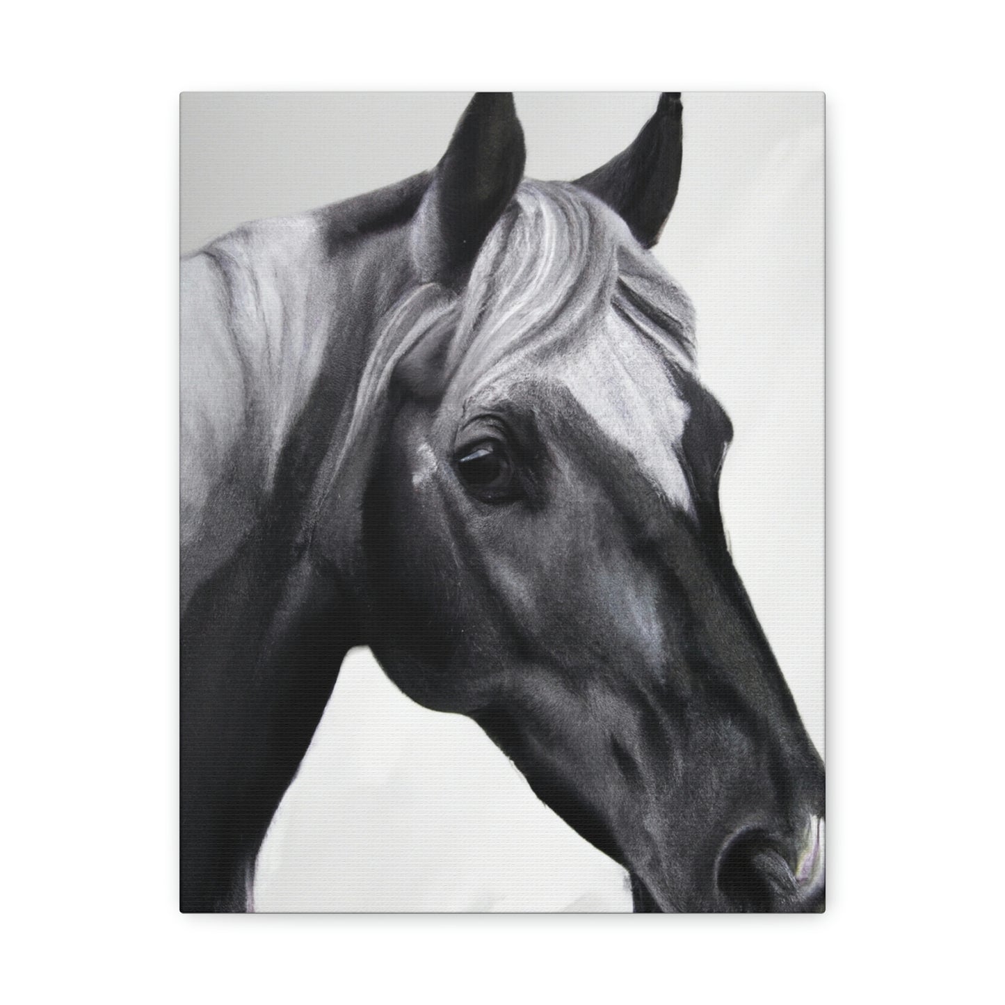 Shadow Steed. - Canvas