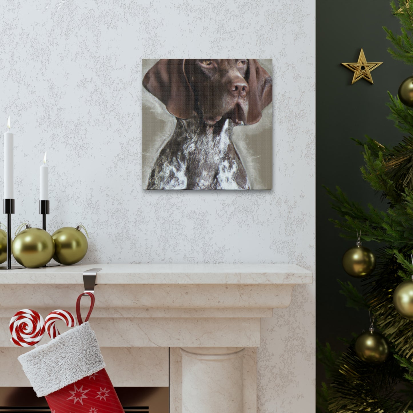 Pointer Posh. - Canvas