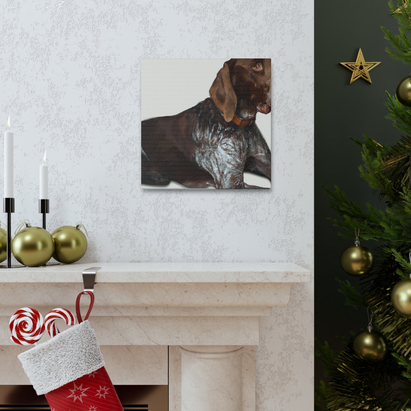 Dog Pointer Splendour - Canvas
