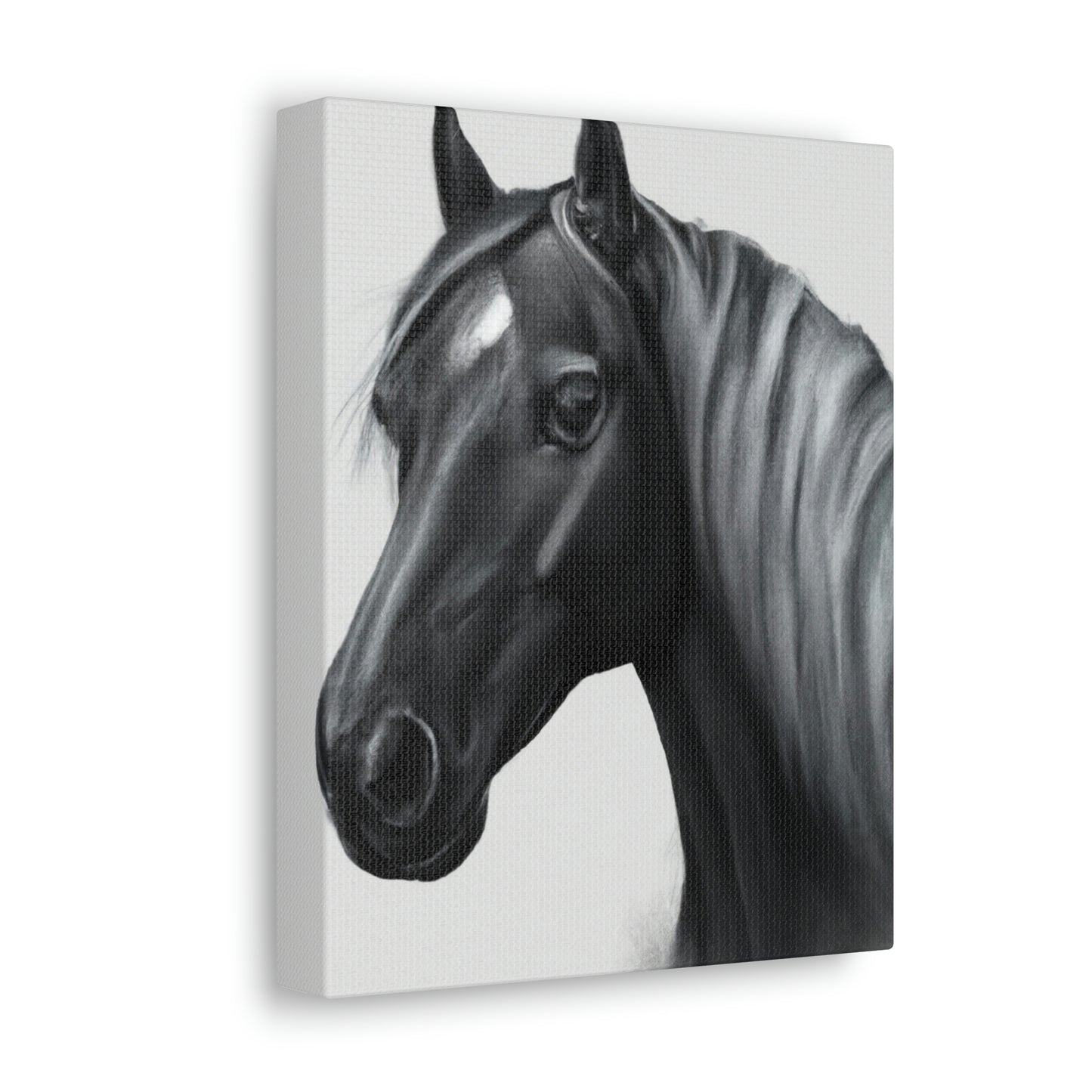 Marcia Masterson - Canvas