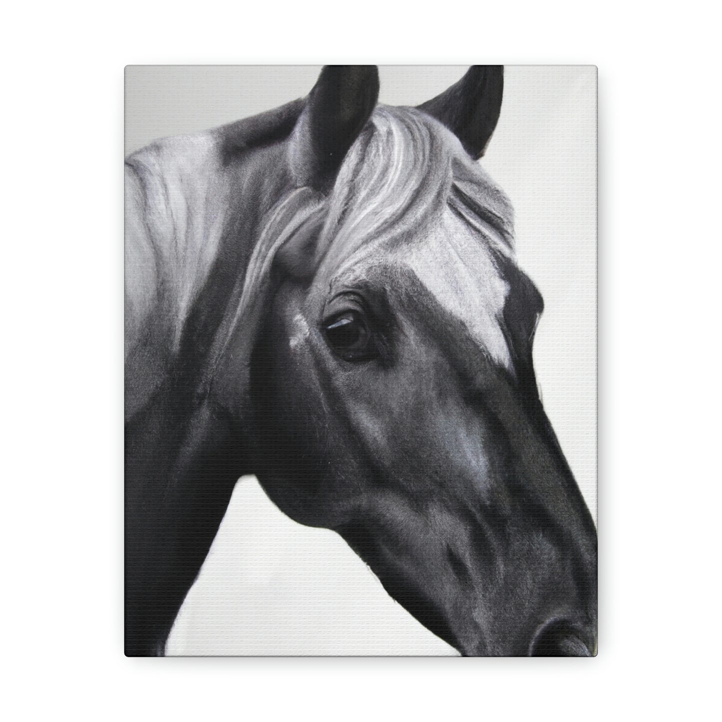 Shadow Steed. - Canvas
