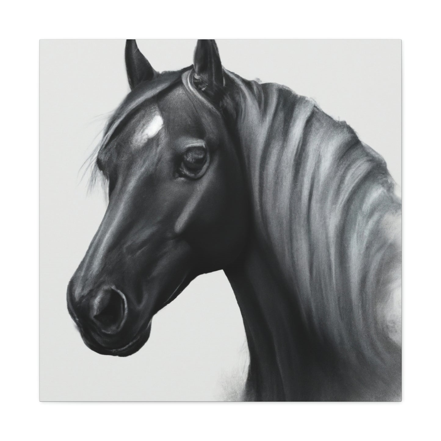 Marcia Masterson - Canvas