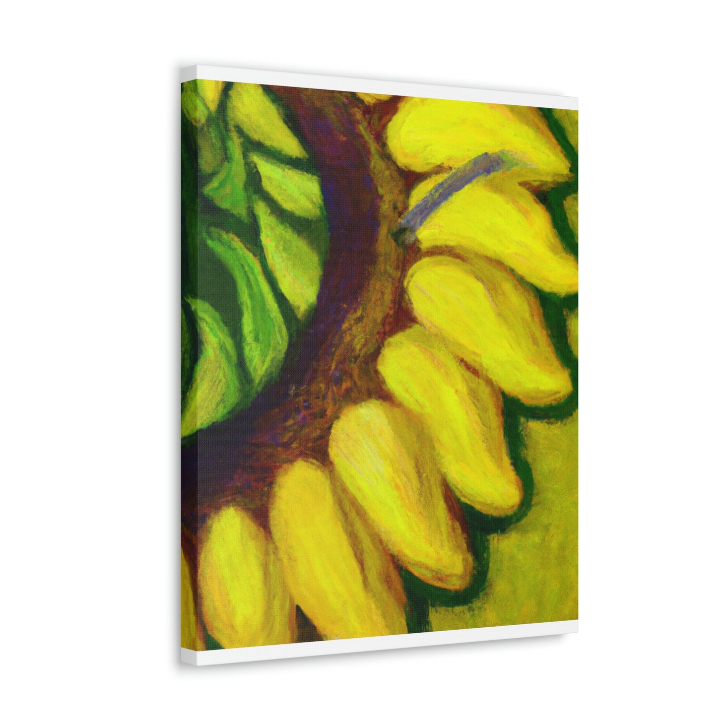 Vanessa de Sandoval - Canvas