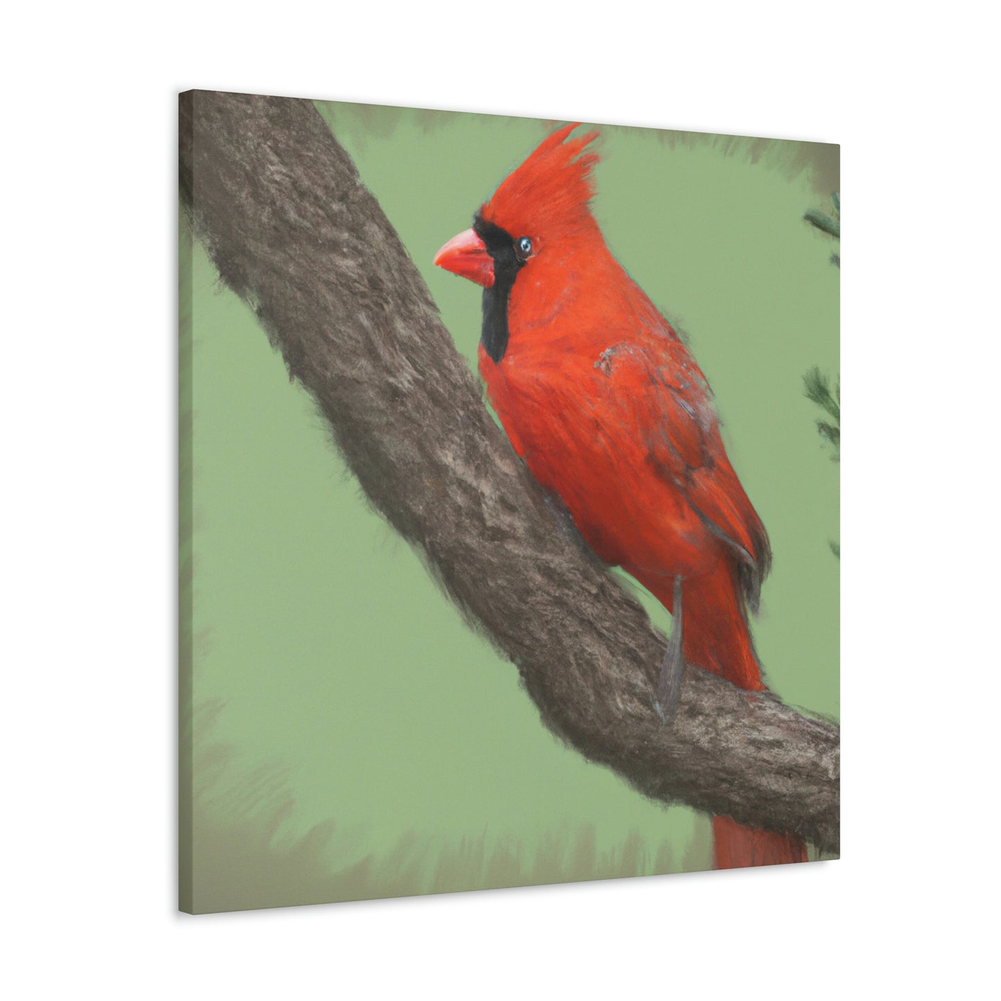 Clara Cracklethorn - Canvas