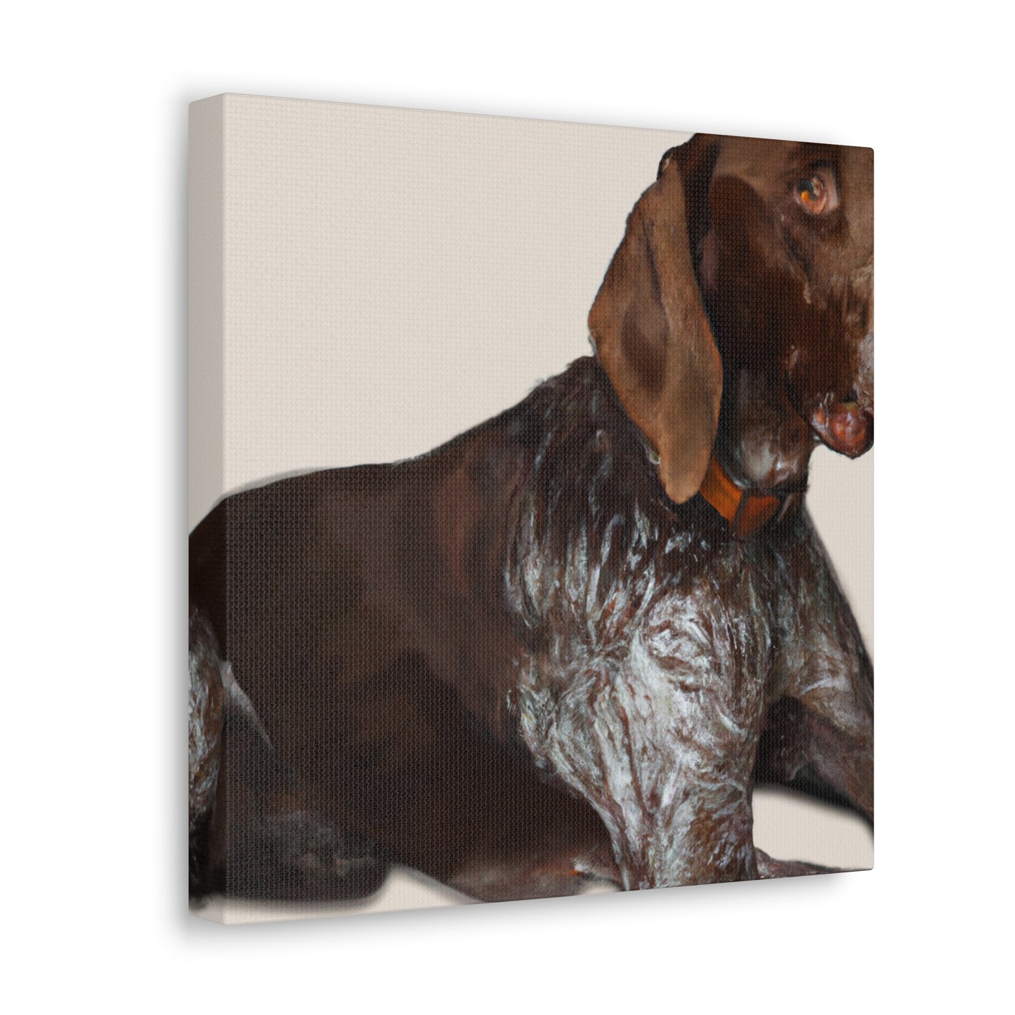 Dog Pointer Splendour - Canvas