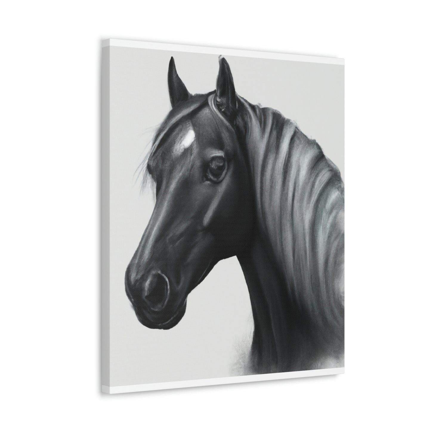 Marcia Masterson - Canvas