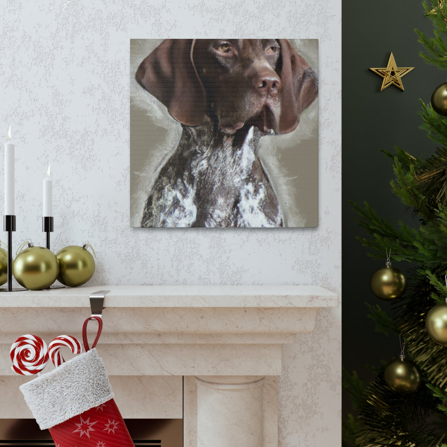 Pointer Posh. - Canvas