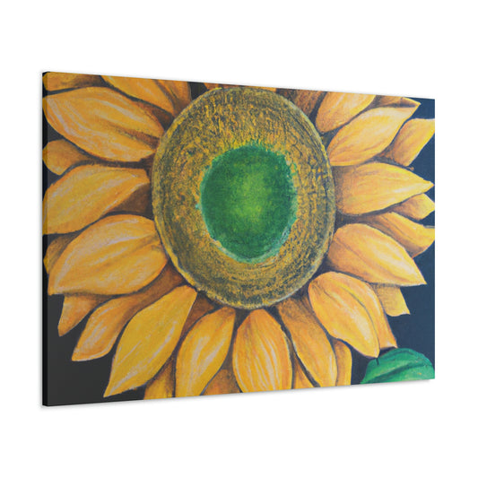 Jan van Schoten - Canvas