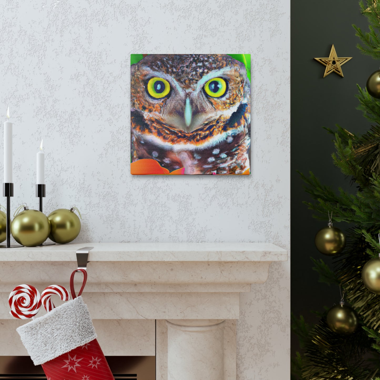 Owl Splendor. - Canvas