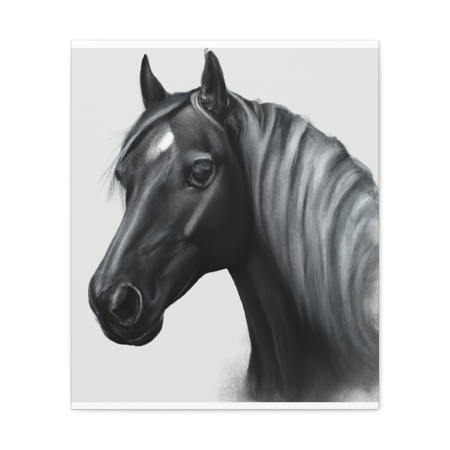 Marcia Masterson - Canvas