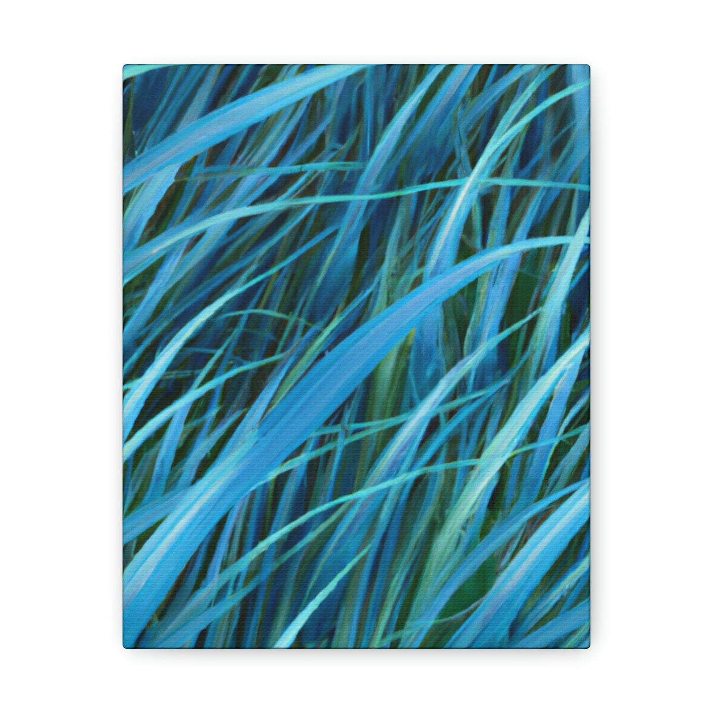 Oasis Groove. - Canvas