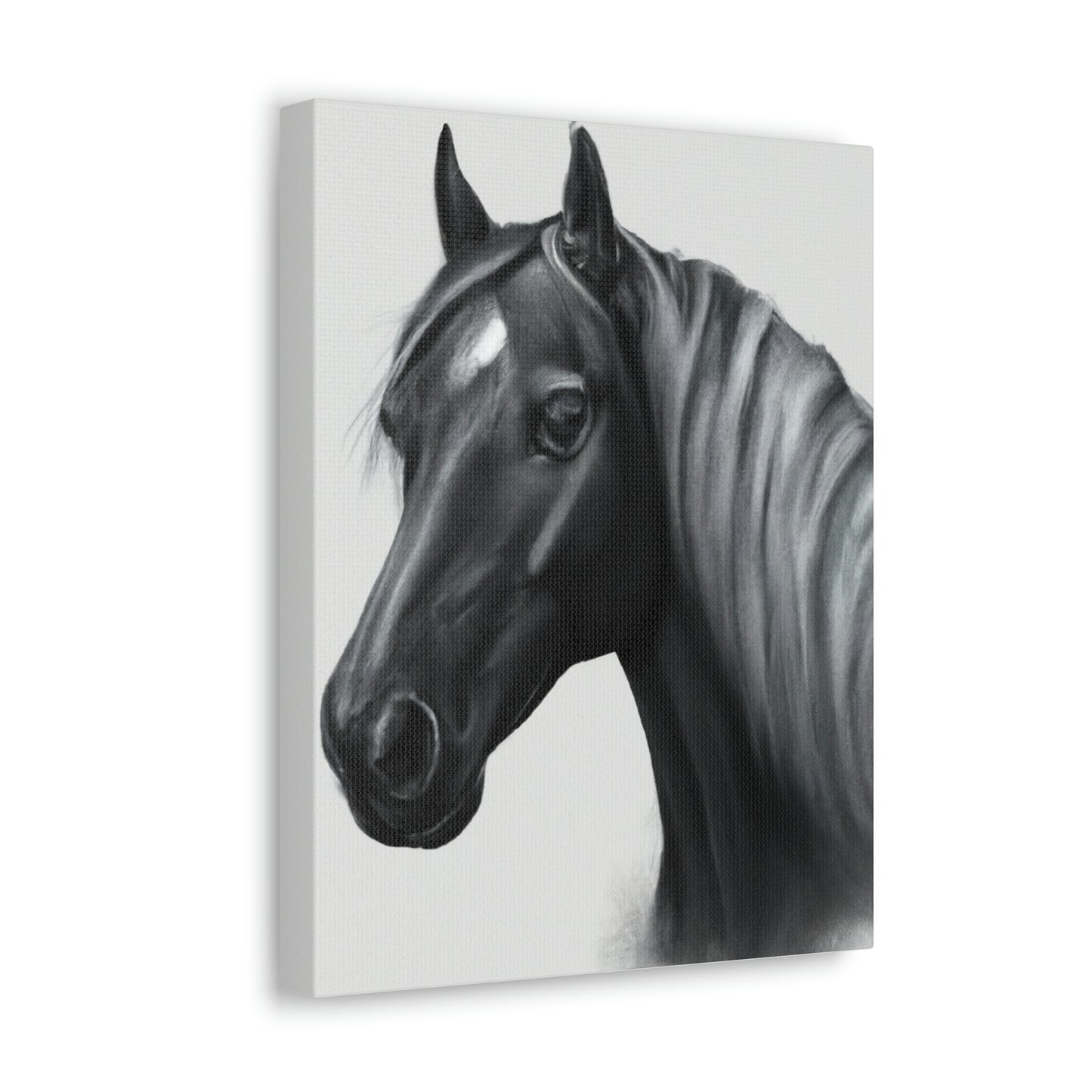 Marcia Masterson - Canvas