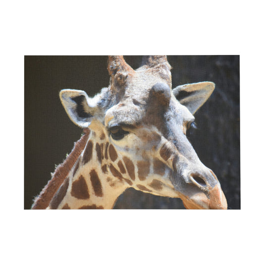 Colorful Giraffish Sketches- Puzzle