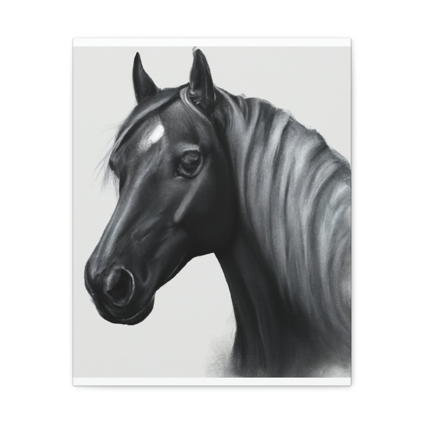Marcia Masterson - Canvas