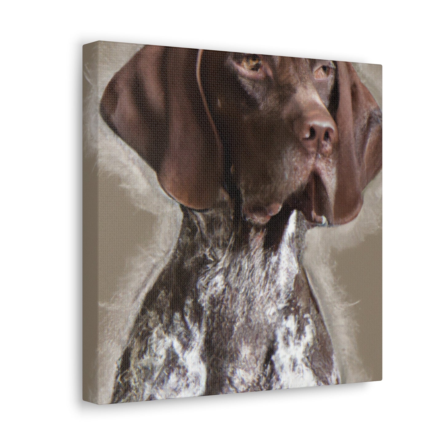 Pointer Posh. - Canvas