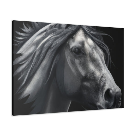 Midnight Mane - Canvas