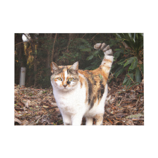 Rainbow Ceremony- Puzzle