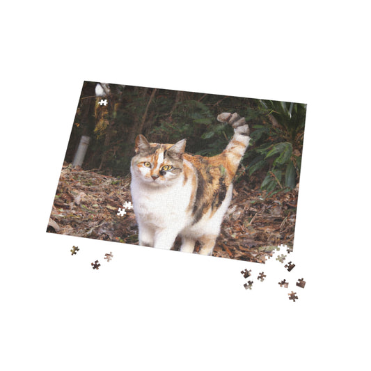 Rainbow Ceremony- Puzzle