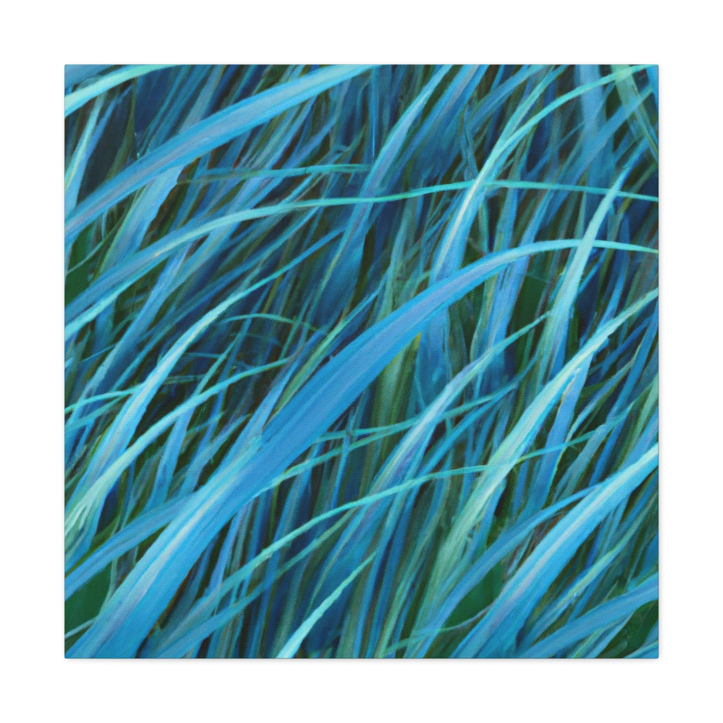 Oasis Groove. - Canvas