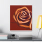 Rose Petal Bliss - Canvas